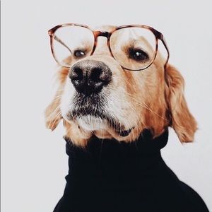 Meet your Posher, Monique